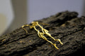Twig Earrings: Real Jasmine Branches - Lightweight, Gold Plated-0